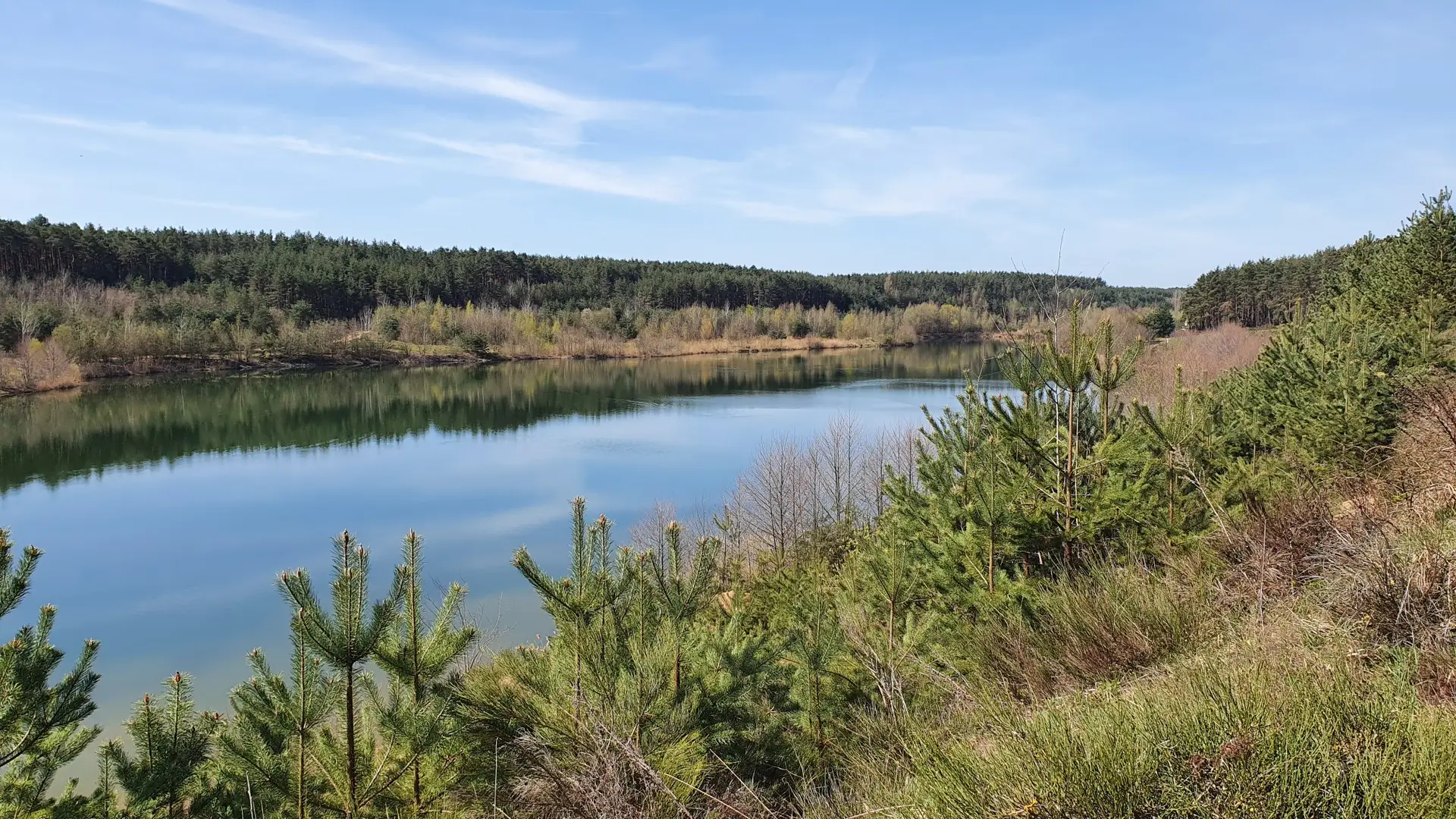 Baggerweiher Gauchsdorf